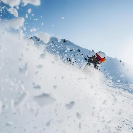 Ekseption - 7-room + Sauna 12/14 Persons * Peisey-Nancroix